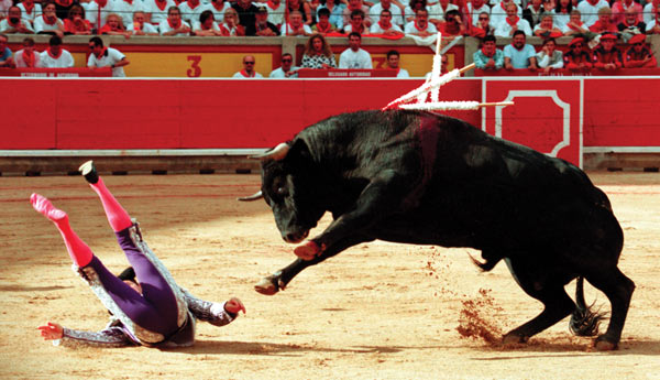 bullfighting