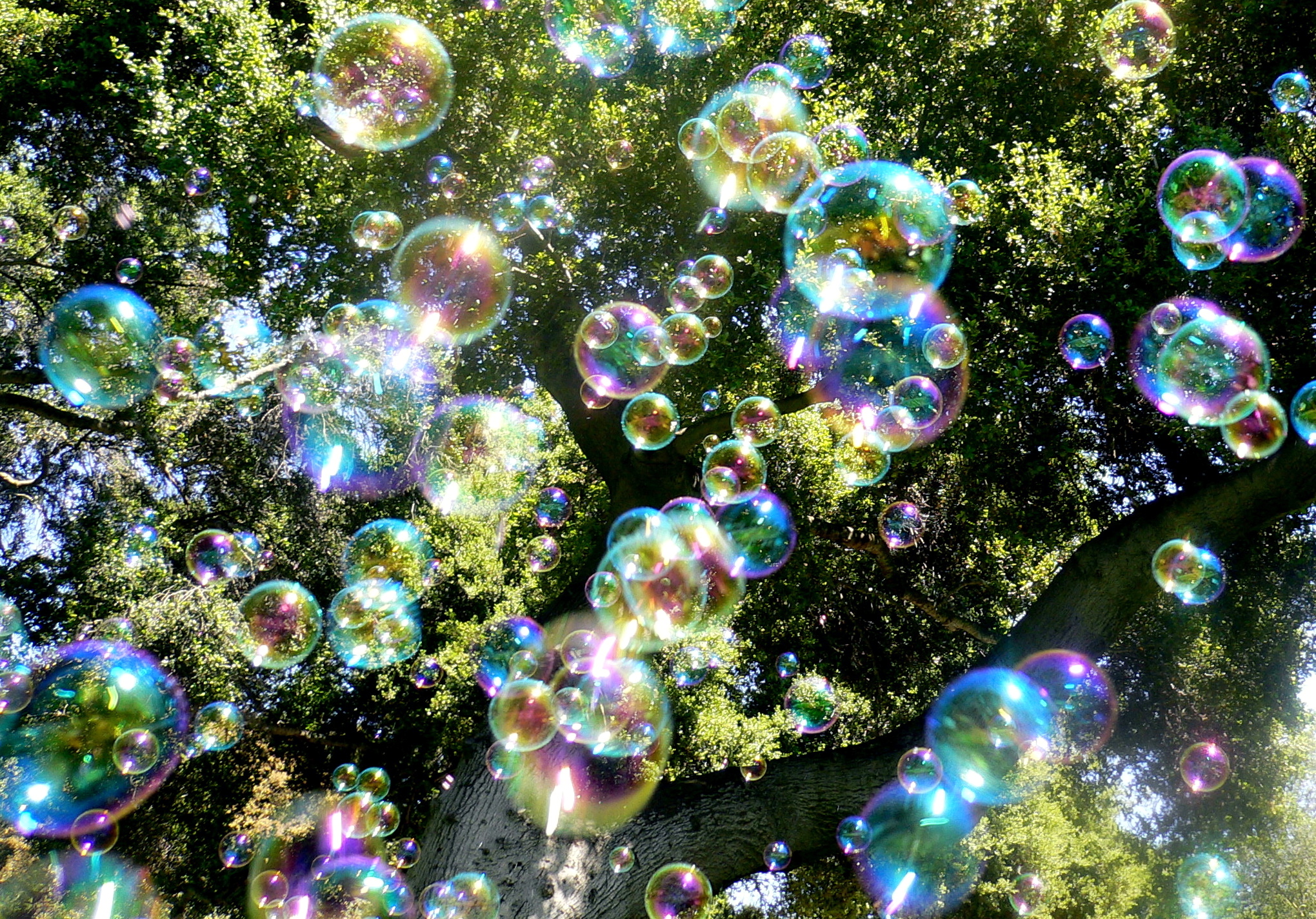 bubble